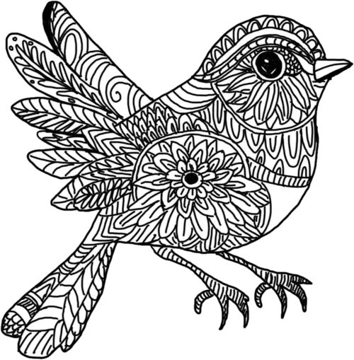 A hand-drawn mandala bird