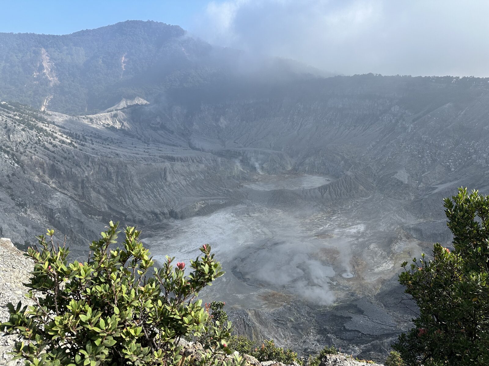 Image of Mount Tangkuban Perahu crater, with a green bush in the foreground and smoke rising out of the bottom, and Vikki standing beside it holding an umbrella.