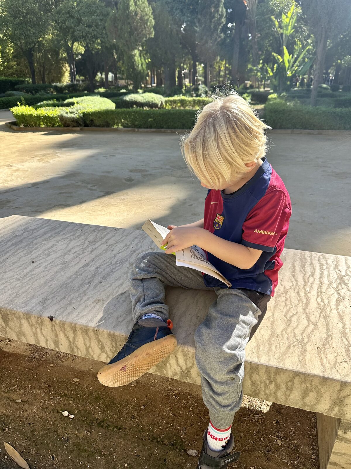 A boy sitting on a stone bench in a park, reading a book
