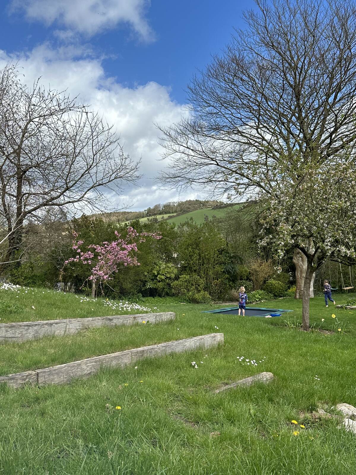 A photo of a Dorset country garden in Spring, with the trees in blossom